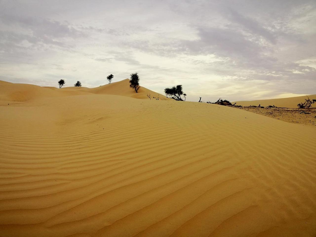 Queen Desert Camp Fulayj al Masha'ikh Exteriör bild