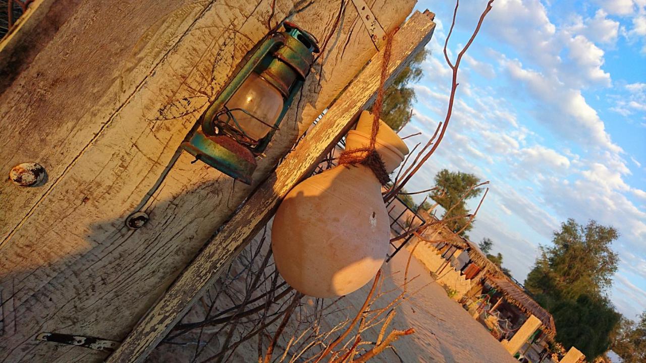 Queen Desert Camp Fulayj al Masha'ikh Exteriör bild